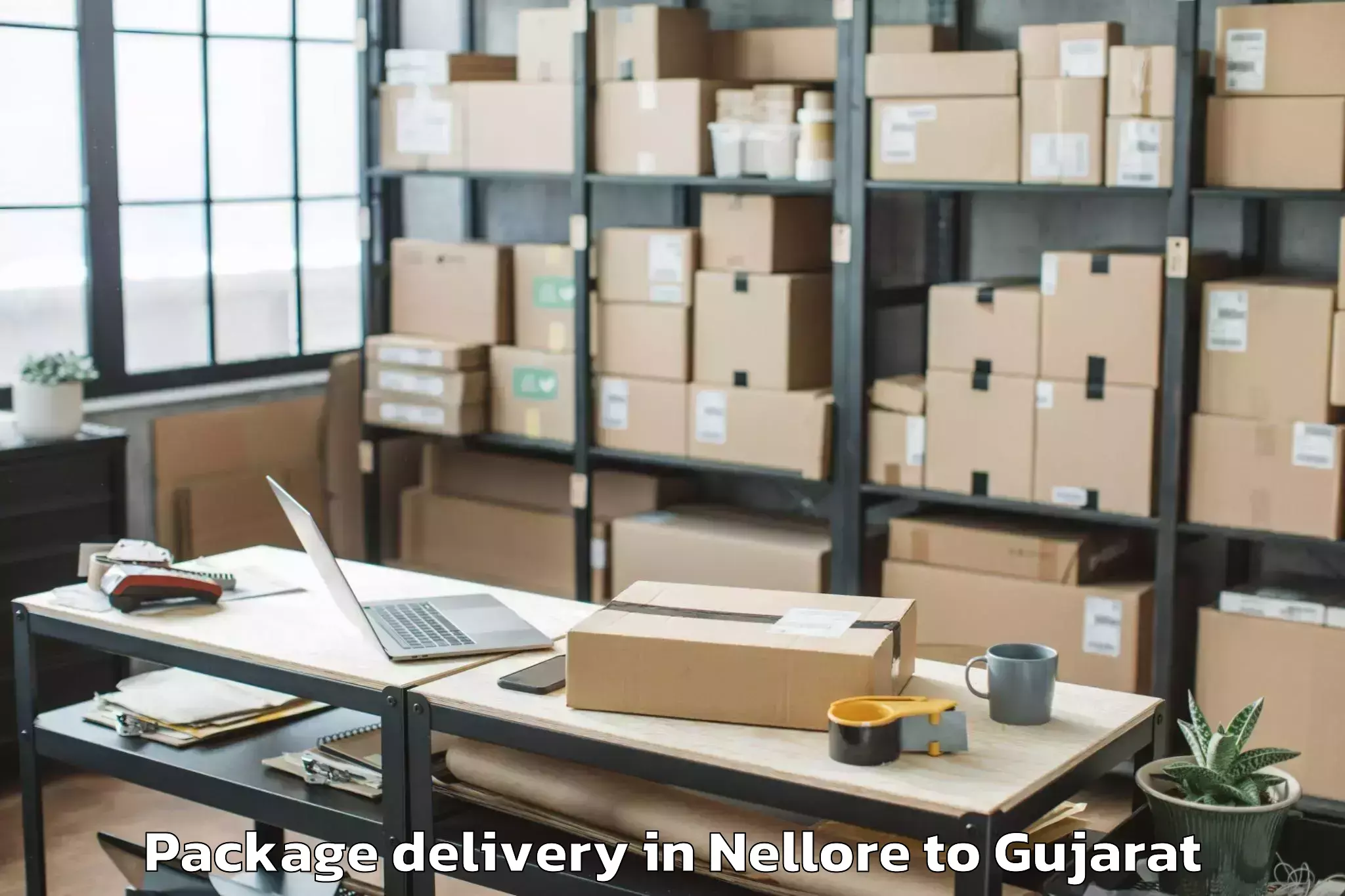 Book Nellore to Gujarat Ayurved University Jam Package Delivery Online